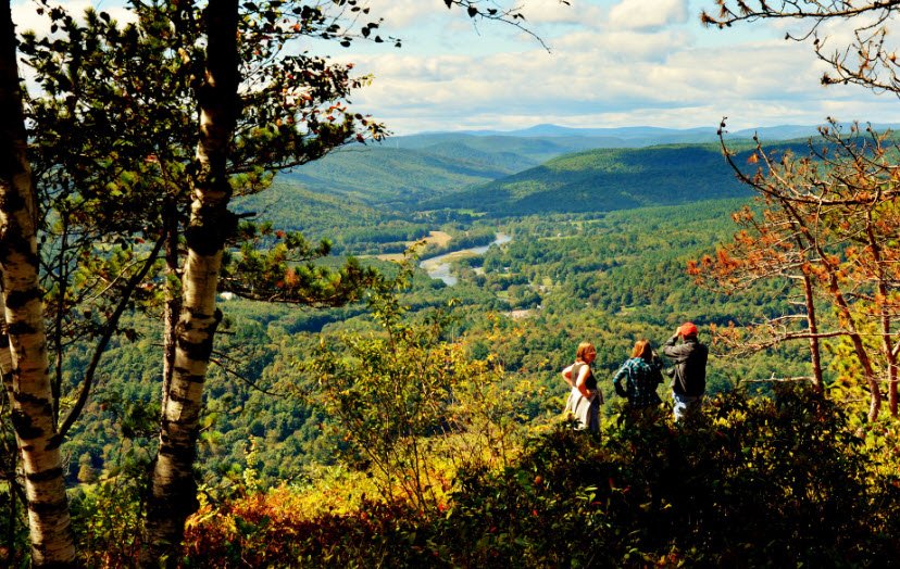 Mohawk Trail State Forest, Massachusetts, USA